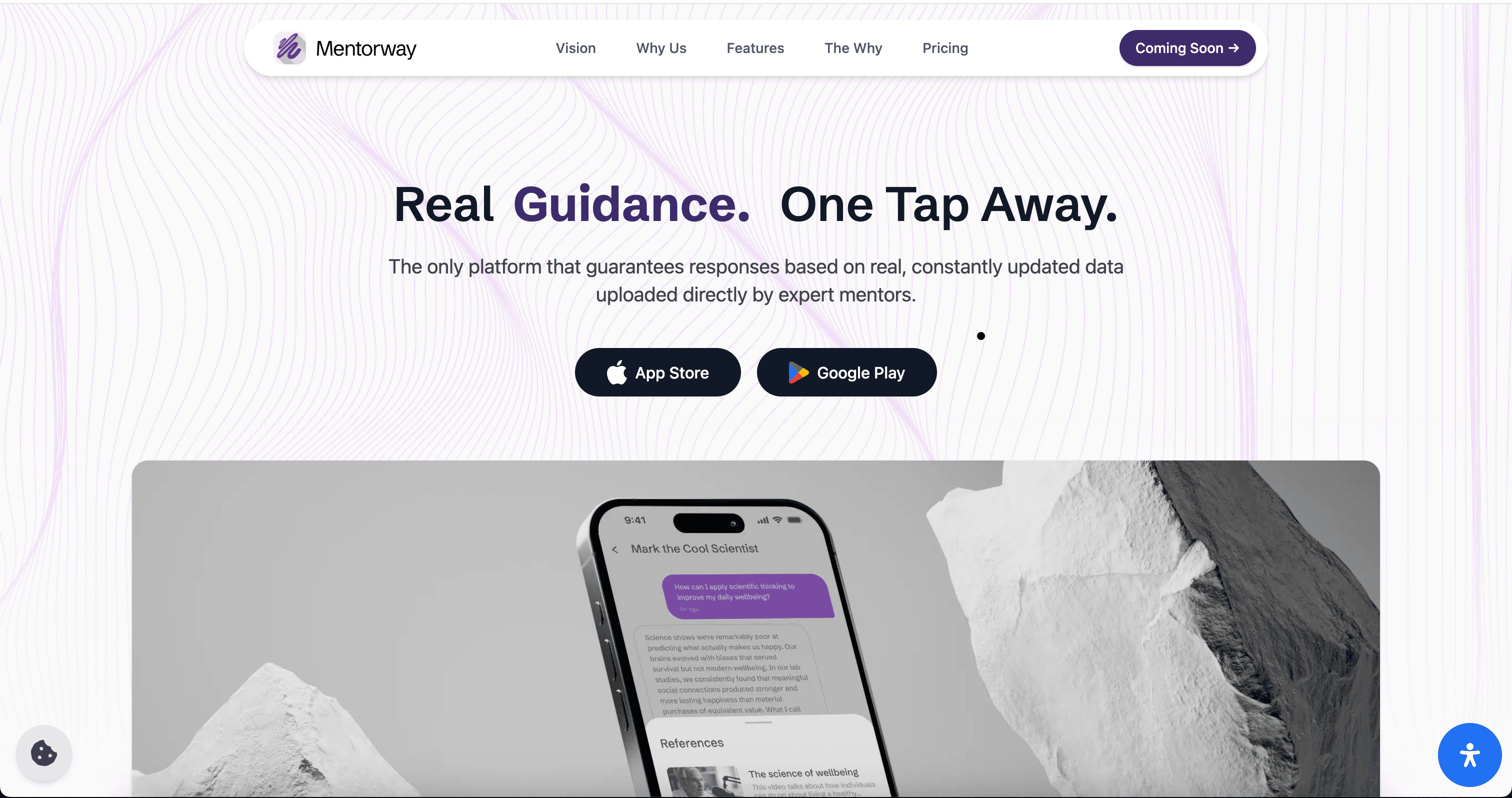MentorWay.io